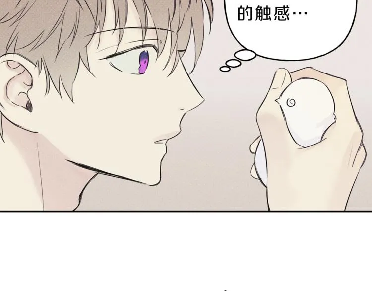 第2话 被一只小鸟碰瓷了 第59页