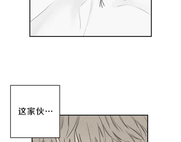 第2话 被一只小鸟碰瓷了 第79页