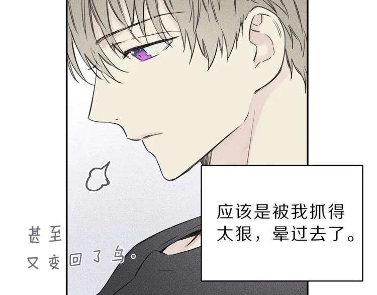 第2话 被一只小鸟碰瓷了 第80页