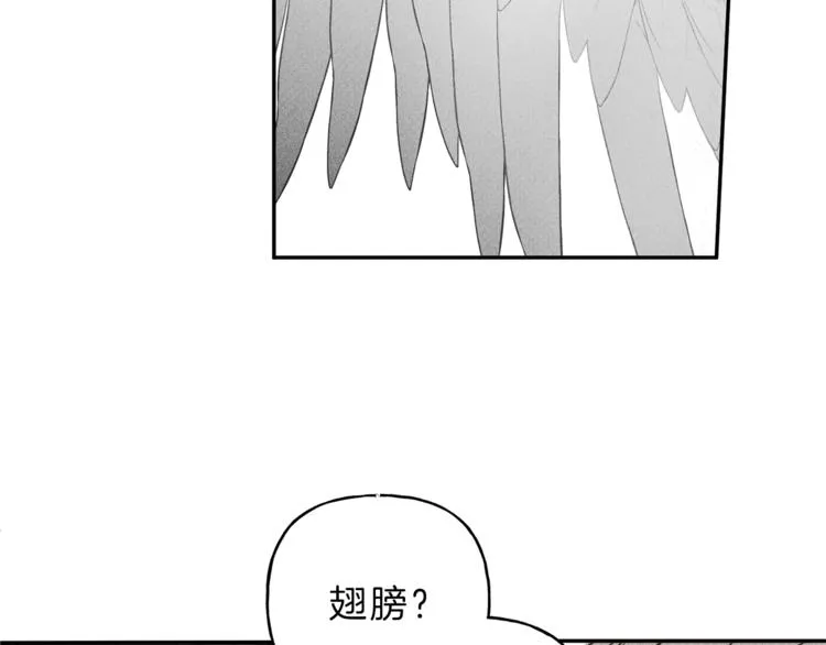 第2话 被一只小鸟碰瓷了 第102页