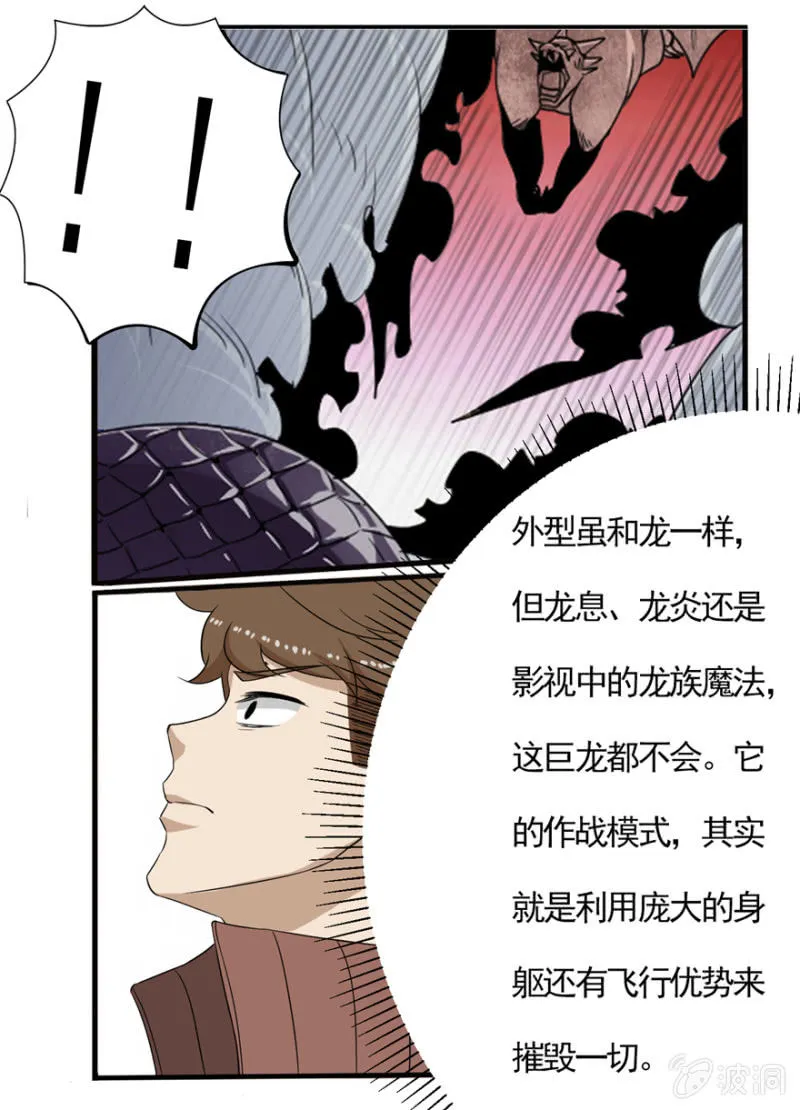 肥龙的形态 第13页