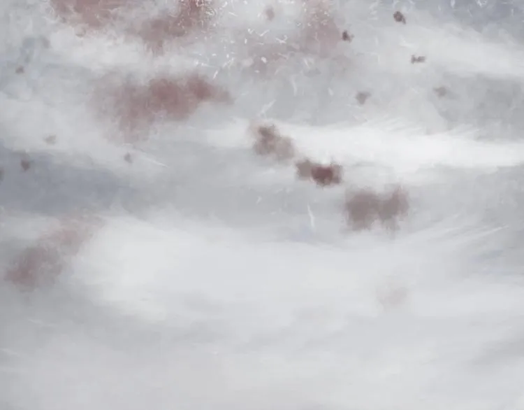 第27话 最在意的人 第115页