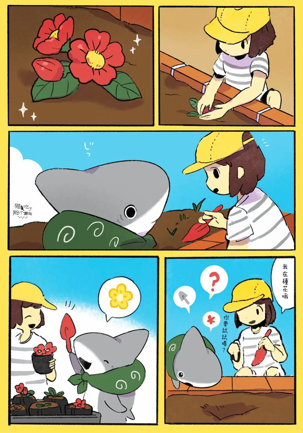 花坛 第2页