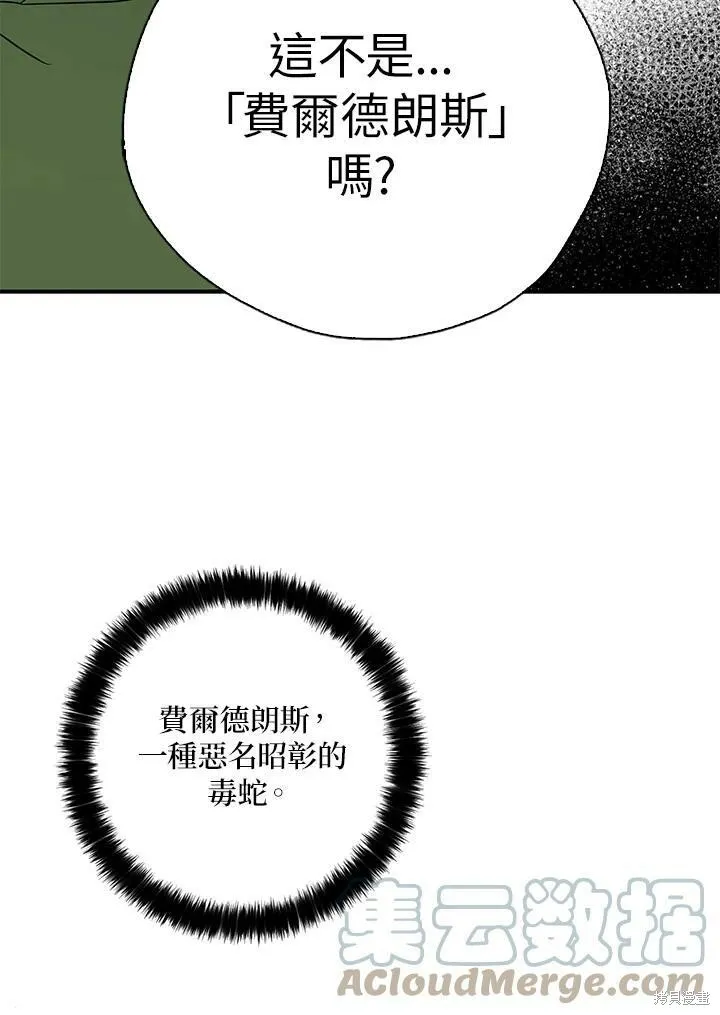 第72话 第85页