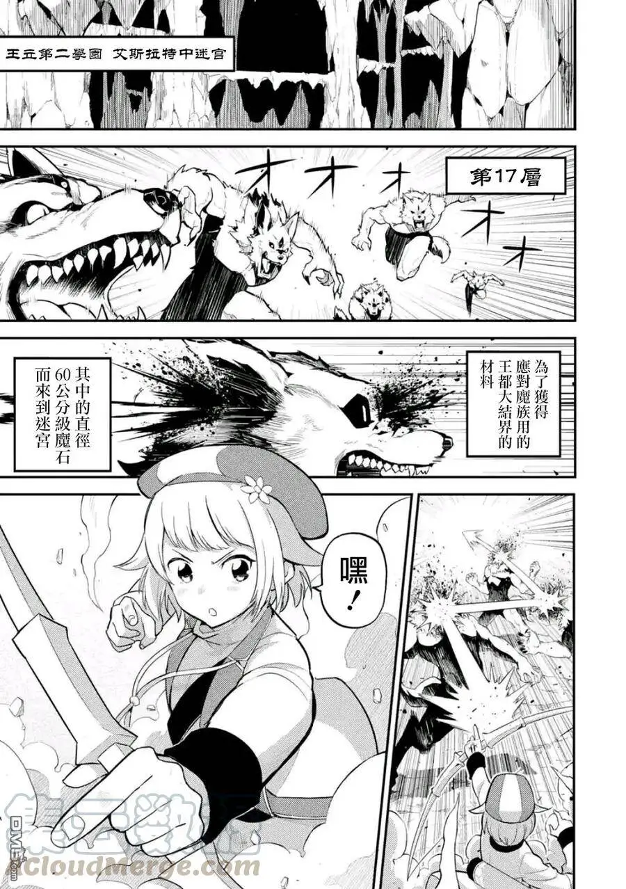 17-1 最强贤者，获得魔石1 第1页