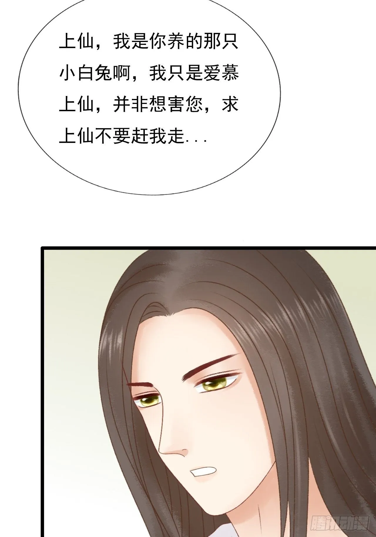 宠物 第3页