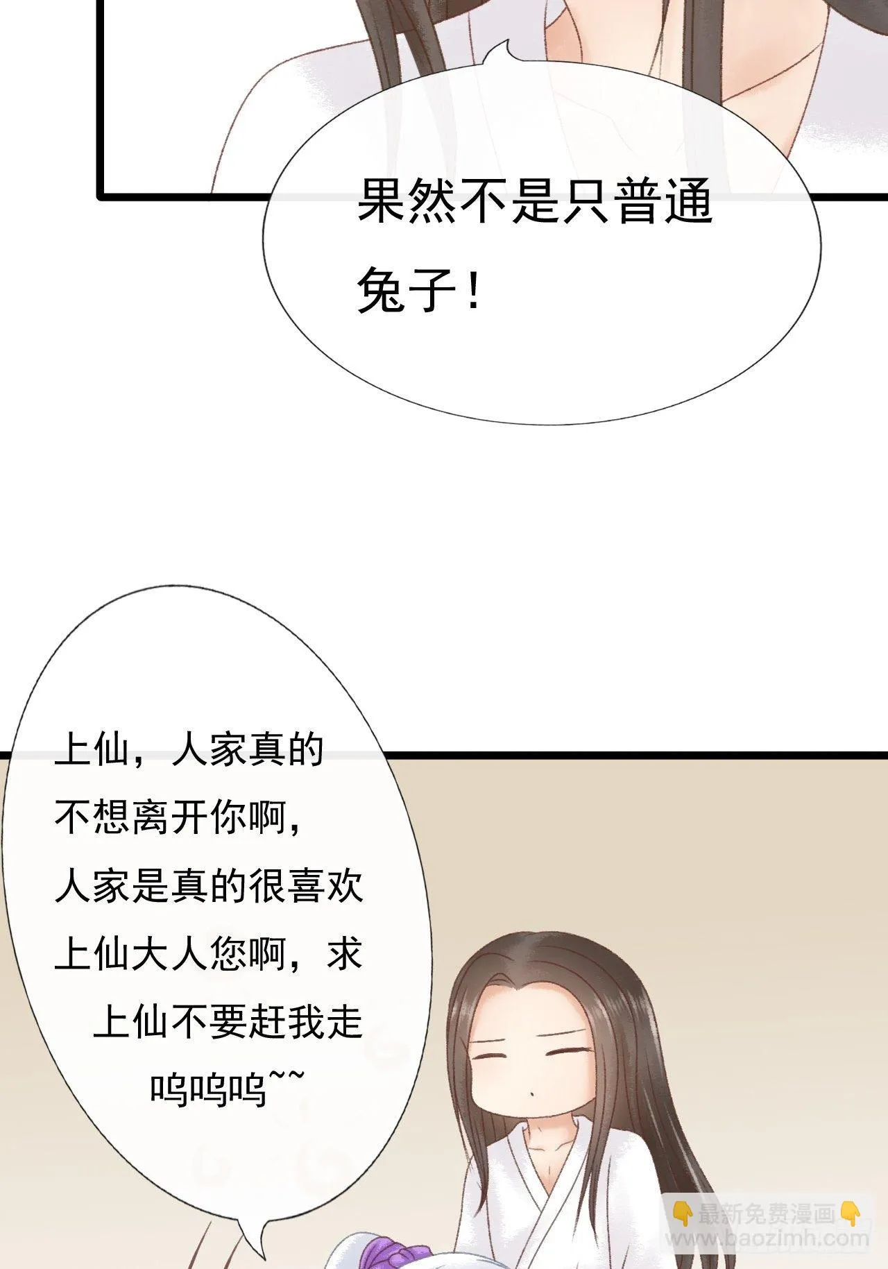宠物 第4页