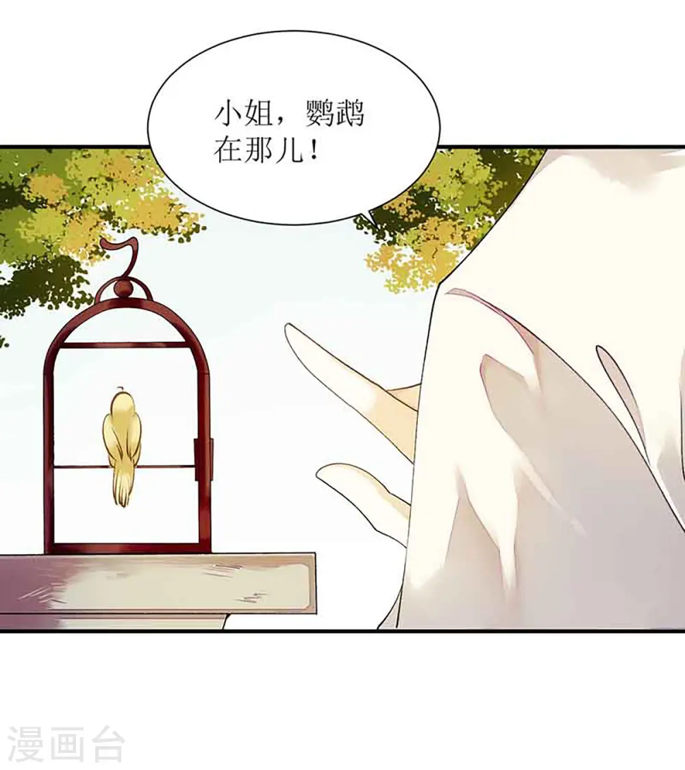第45话 鹦鹉丢了 第7页