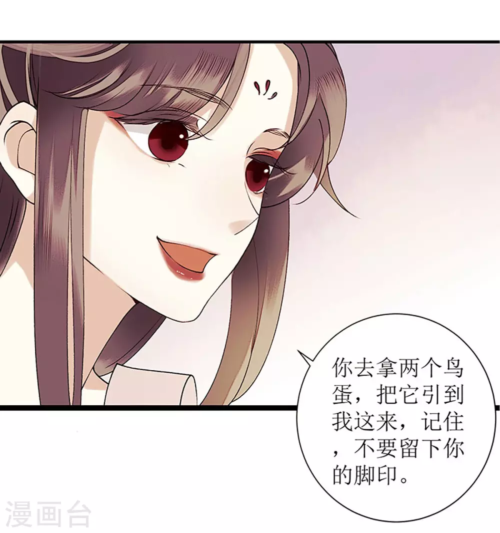 第36话 布局反击 第14页