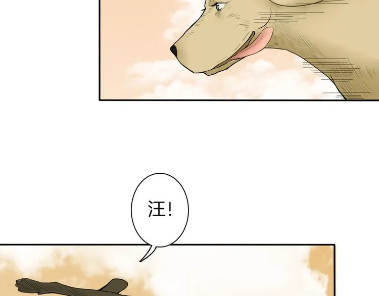 第11话 神秘少年 第47页
