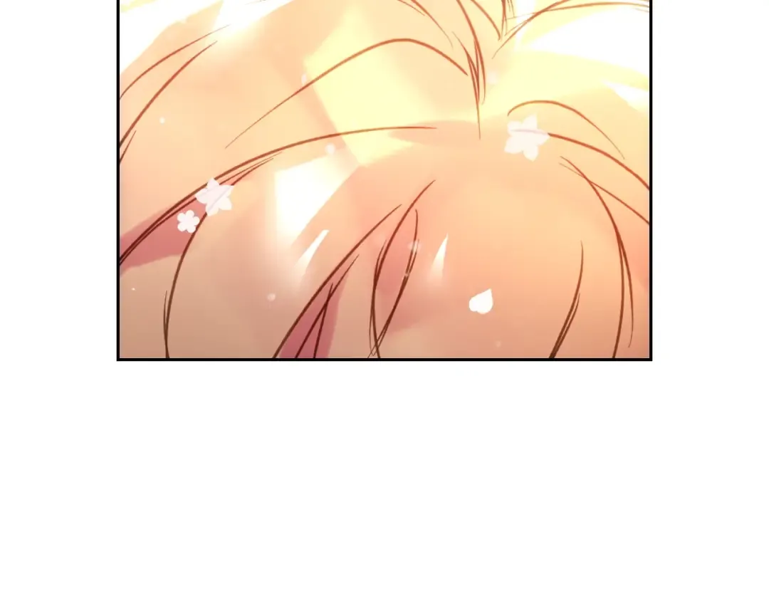 第146话 取消婚约 第3页