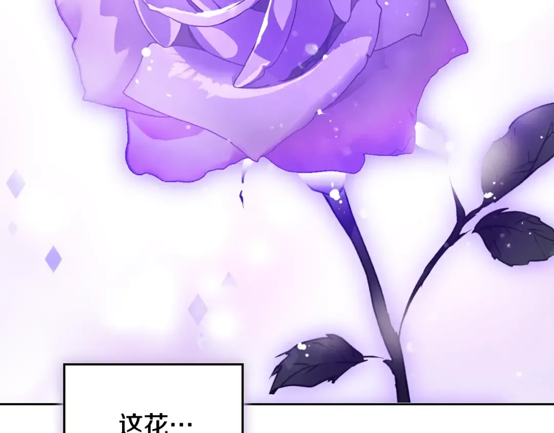 第177话 紫玫瑰 第95页