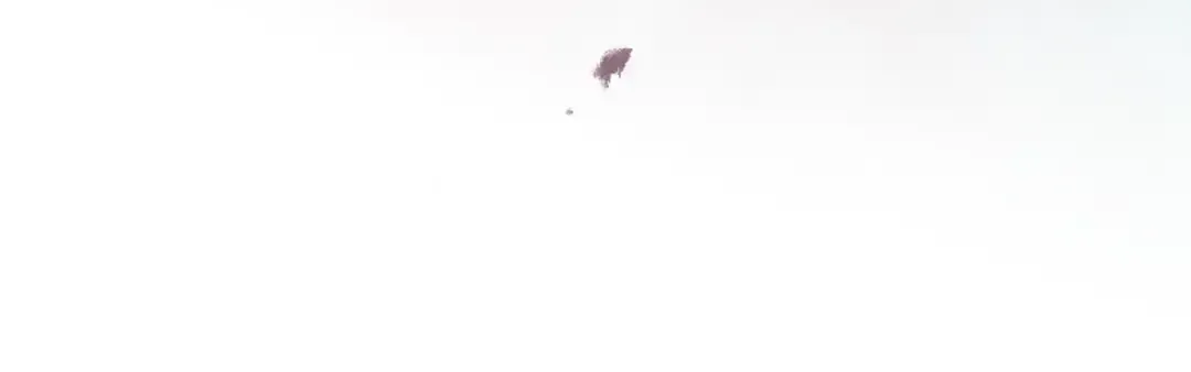 第182话 最后的主线 第81页