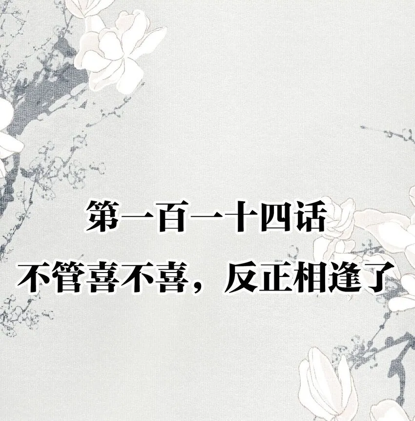 114 不管喜不喜，反正相逢了 第2页