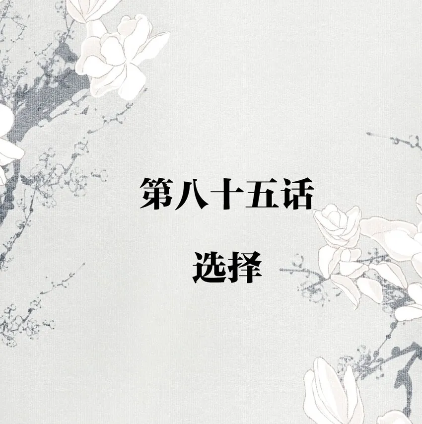 085 选择 第2页