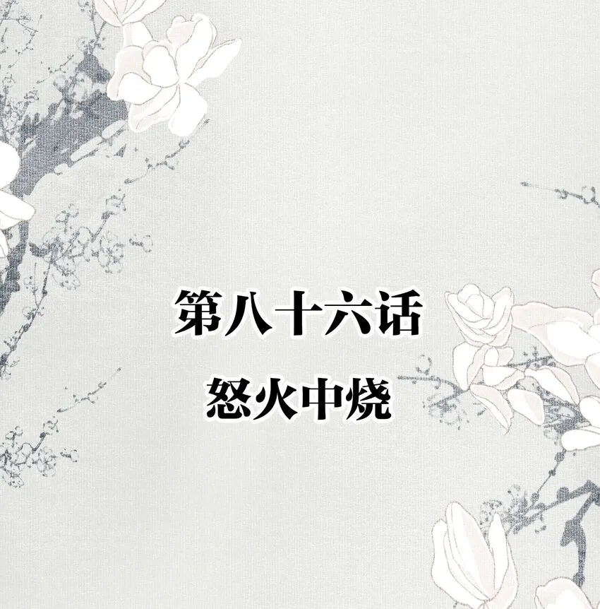 086 怒火中烧 第2页