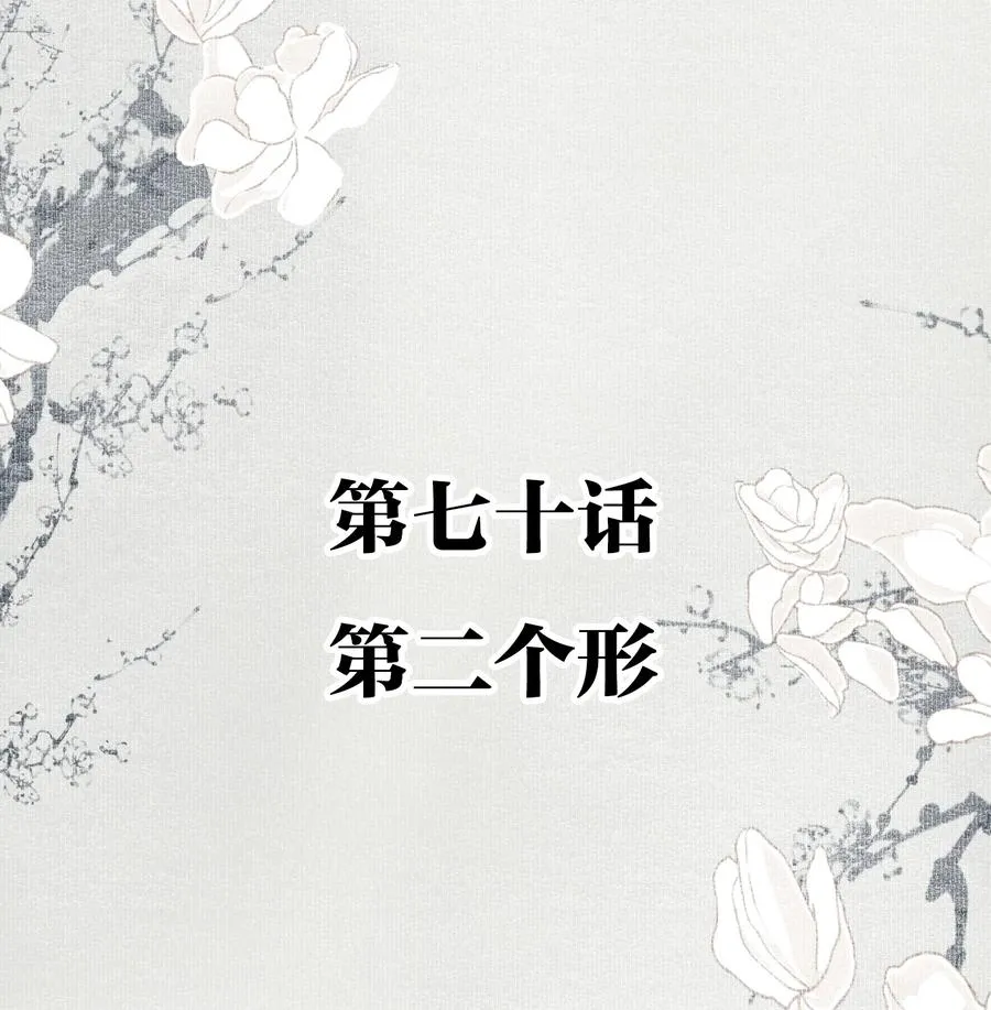 070 第二个形 第2页