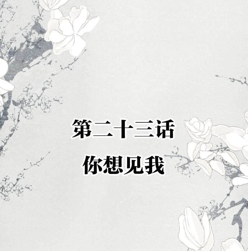 023 你想见我 第2页