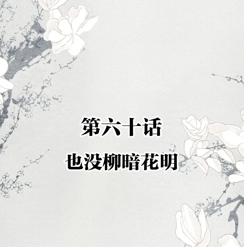 060 也没柳暗花明 第2页