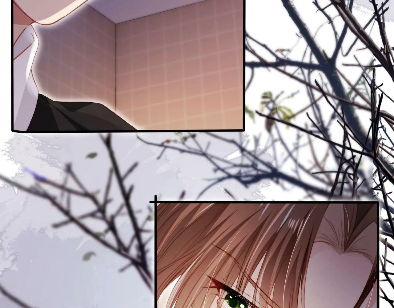 第104话 白钰！回家！ 第13页