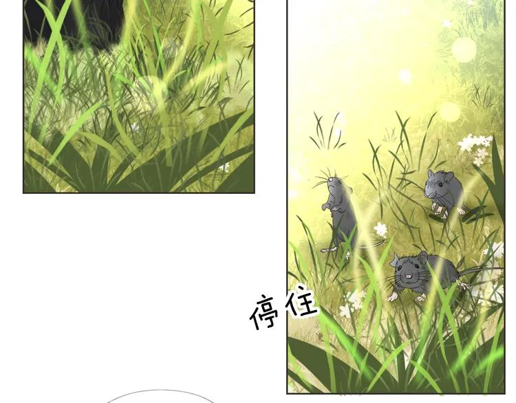 第6话 要不要暂时住我家 第21页
