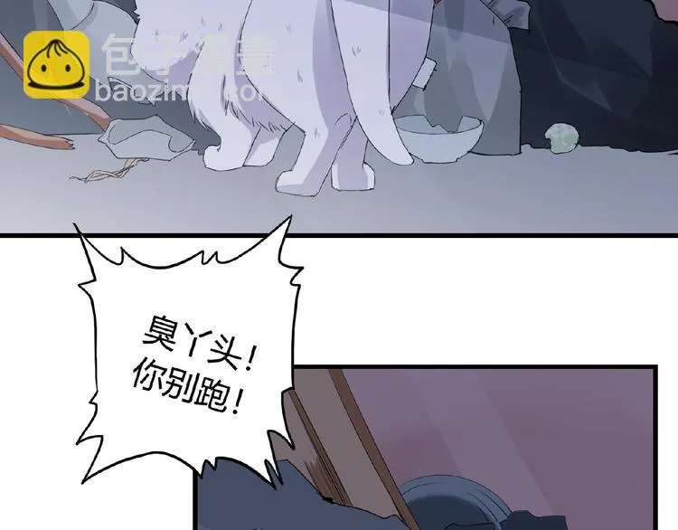 第43话 猫妖的执念 第33页