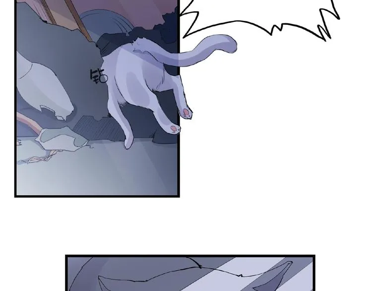 第43话 猫妖的执念 第35页