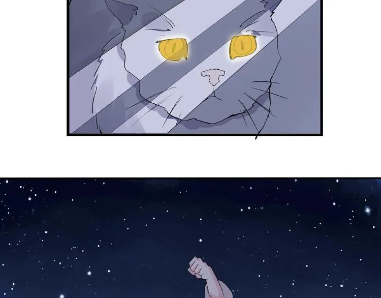第43话 猫妖的执念 第36页
