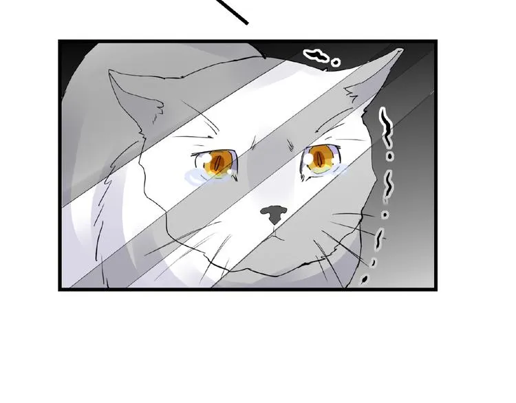 第43话 猫妖的执念 第44页