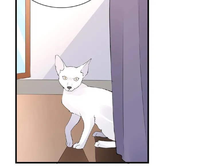 第42话 猫妖 第5页
