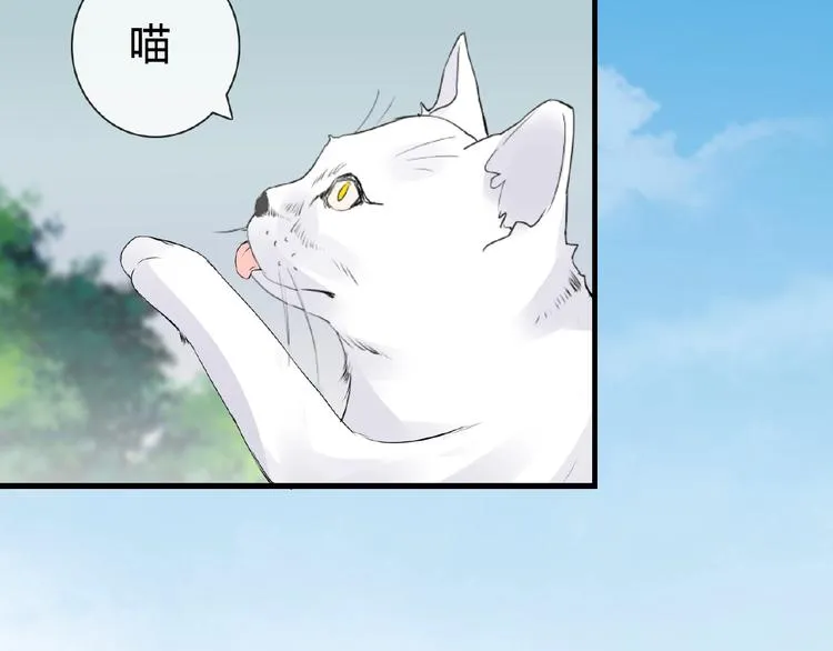 第42话 猫妖 第27页