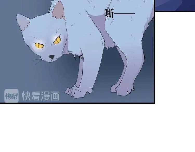 第42话 猫妖 第40页