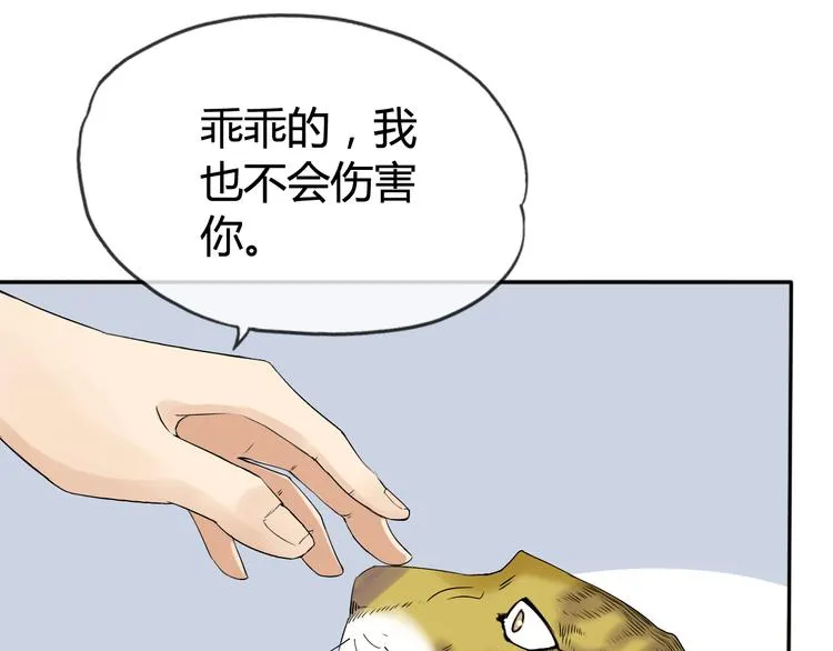 第3话 心中有猛虎细嗅蔷薇 第62页