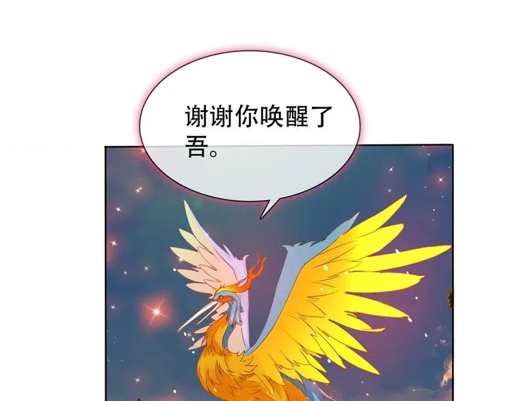 第9话 神鸟现世！ 第19页