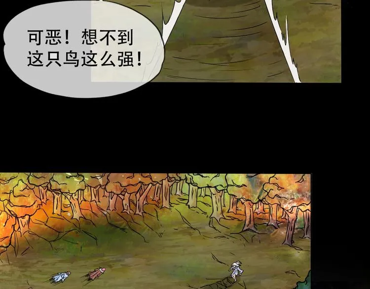 第9话 神鸟现世！ 第56页