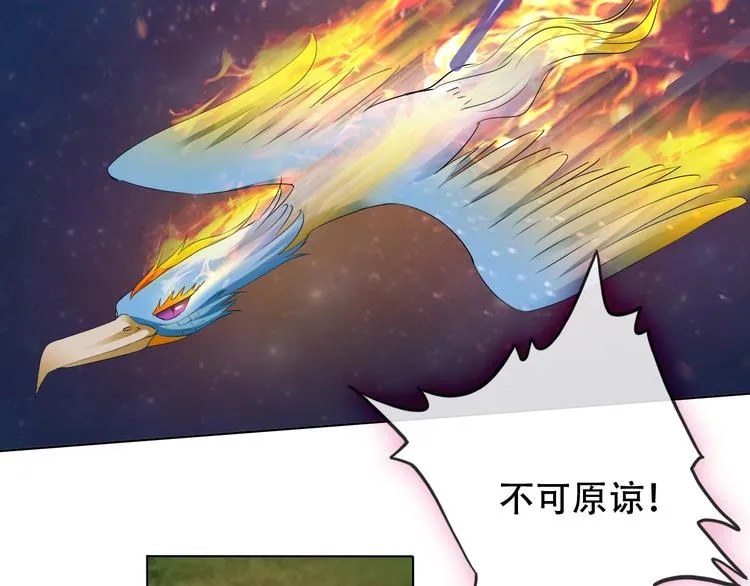 第9话 神鸟现世！ 第113页