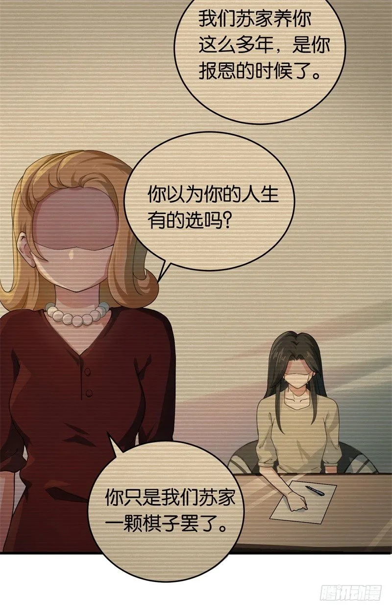 08-苏家的棋子 第18页