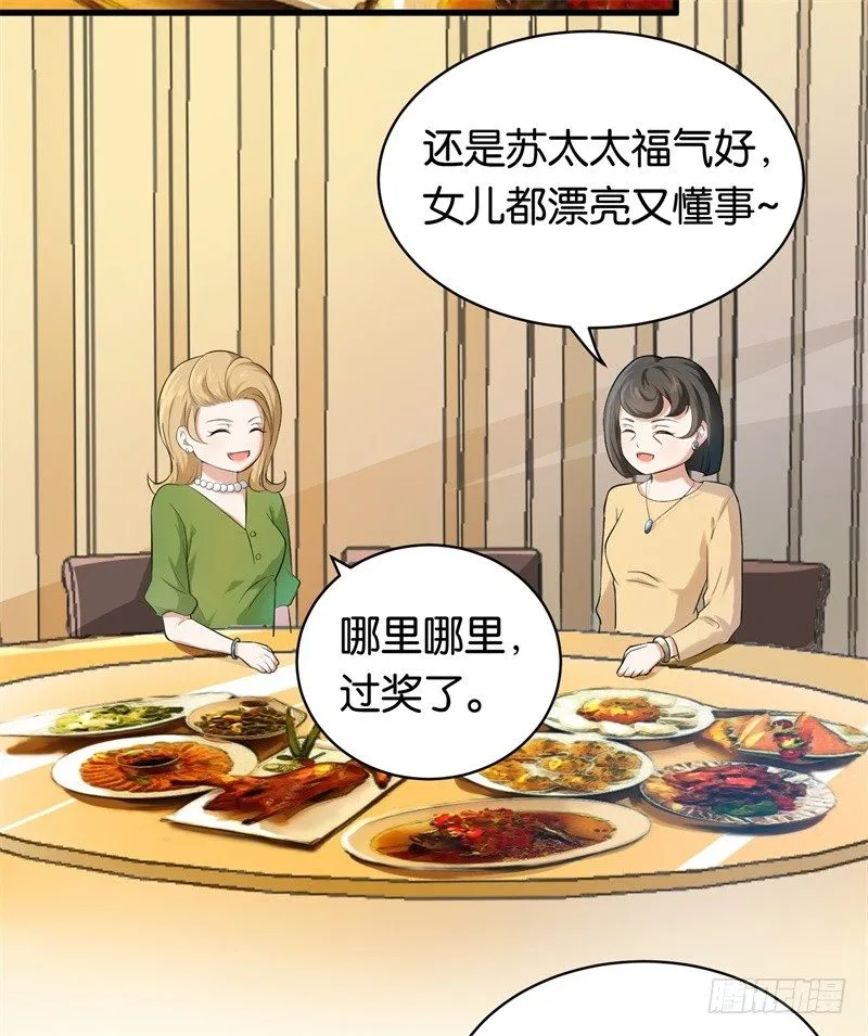 08-苏家的棋子 第30页