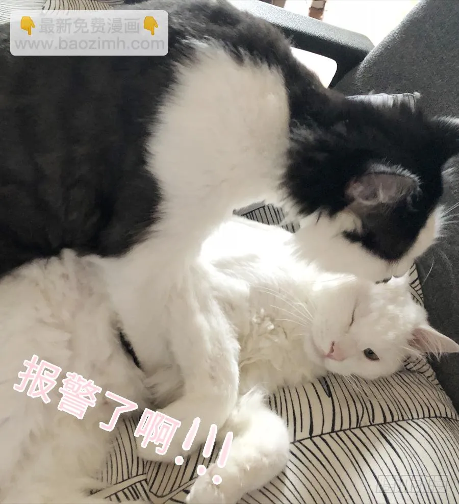 快要告白 第47页