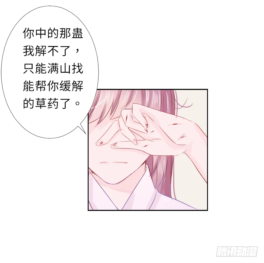 天天逗自家松鼠王妃最开心 第31页