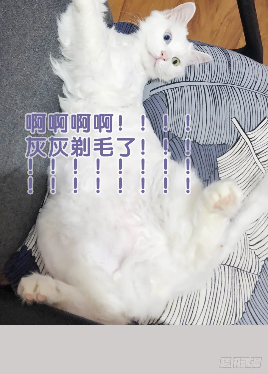 你是猪吗？不知道躲 第36页