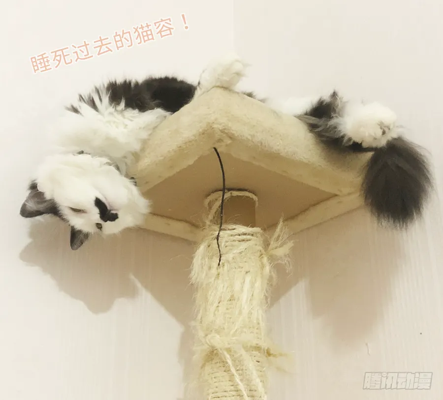 姐姐感情支线开启！ 第47页