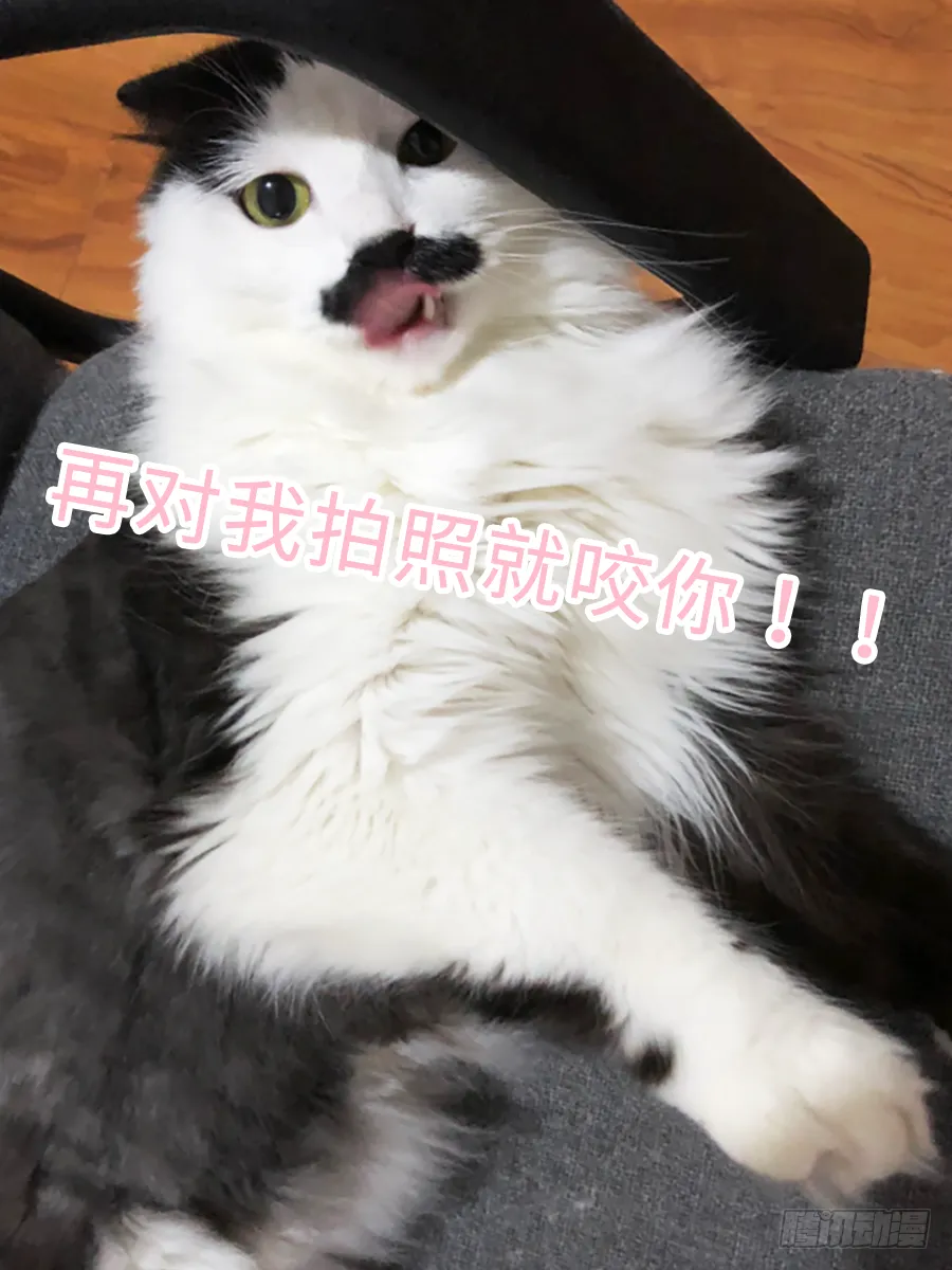 我家的王爷怎么可能娶你？ 第64页