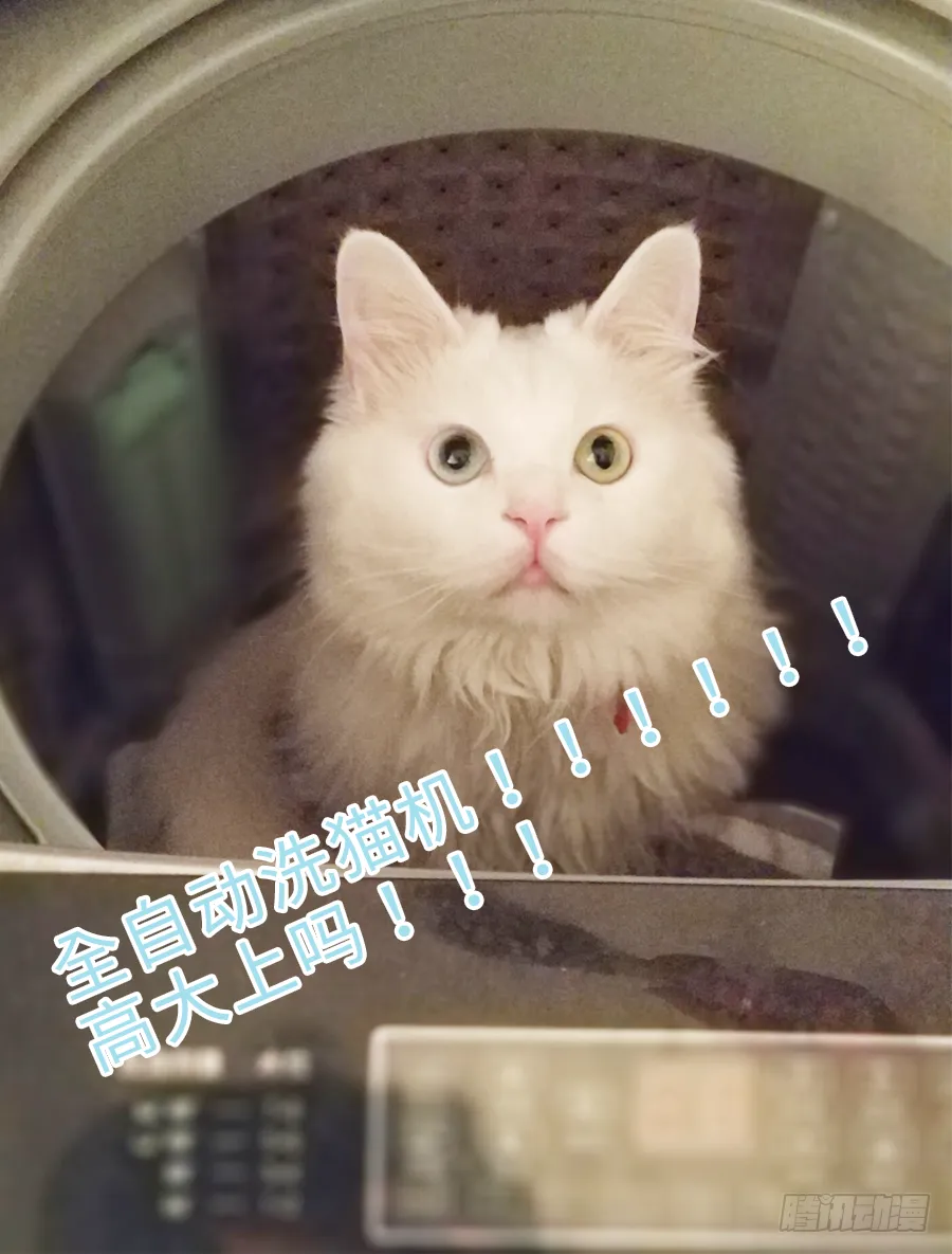 你刚刚看了我的小黄书？！！ 第57页