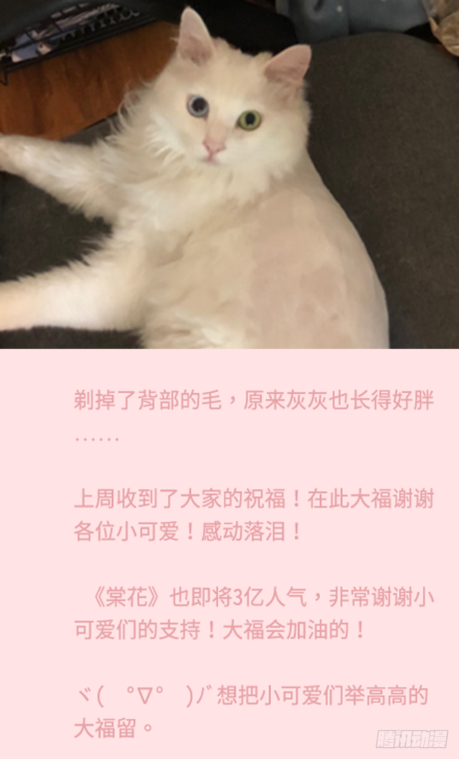 你占用我午睡的地方啦 第55页