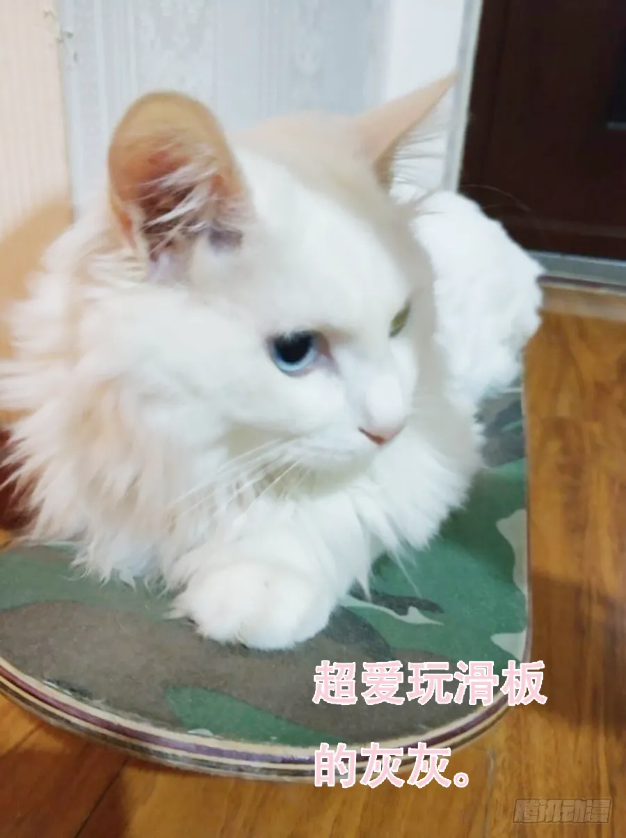 如果你乖，要听我的话 第27页