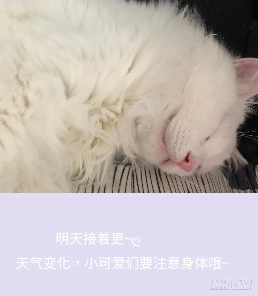 屋顶有人偷看！ 第26页