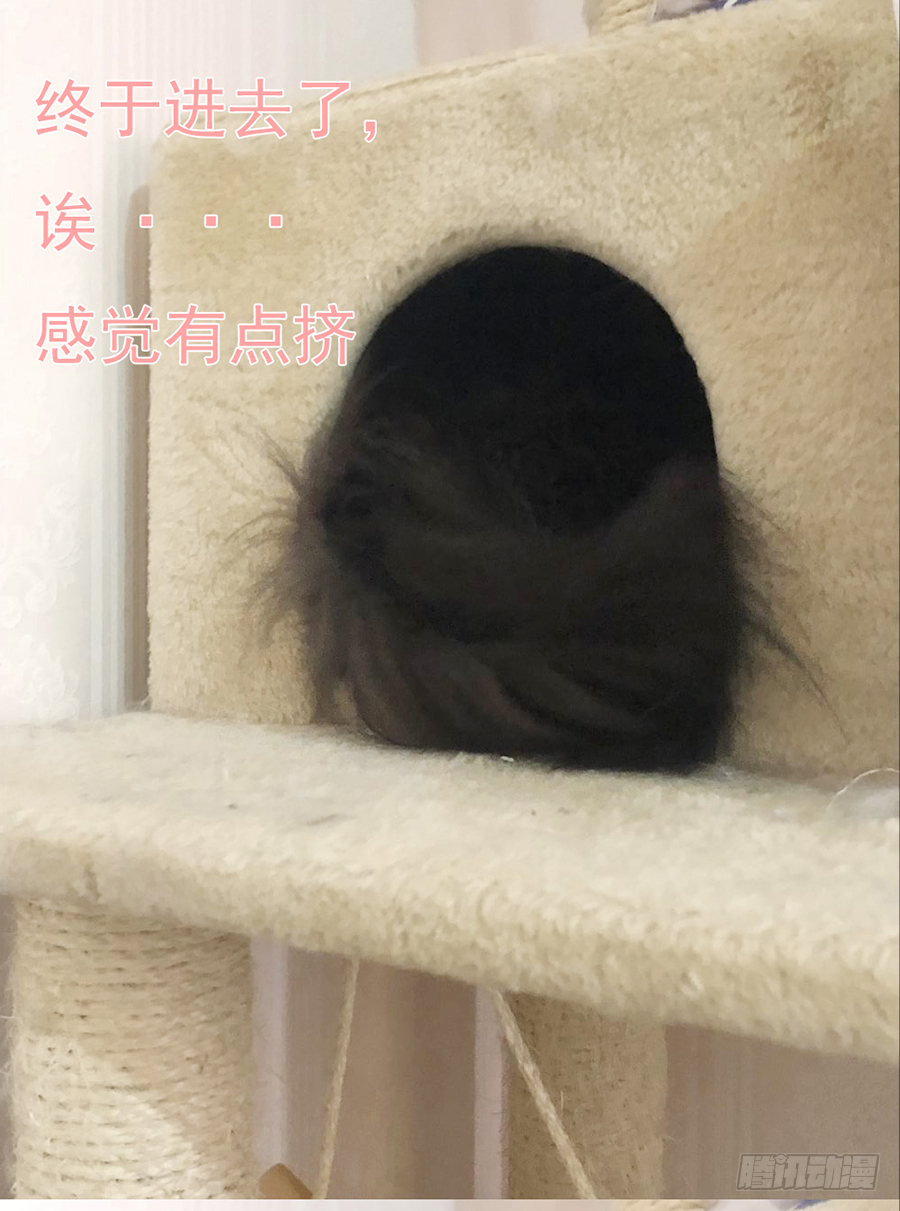 嘘，私会不能被我老公发现 第69页