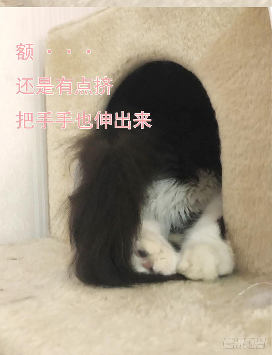 嘘，私会不能被我老公发现 第71页