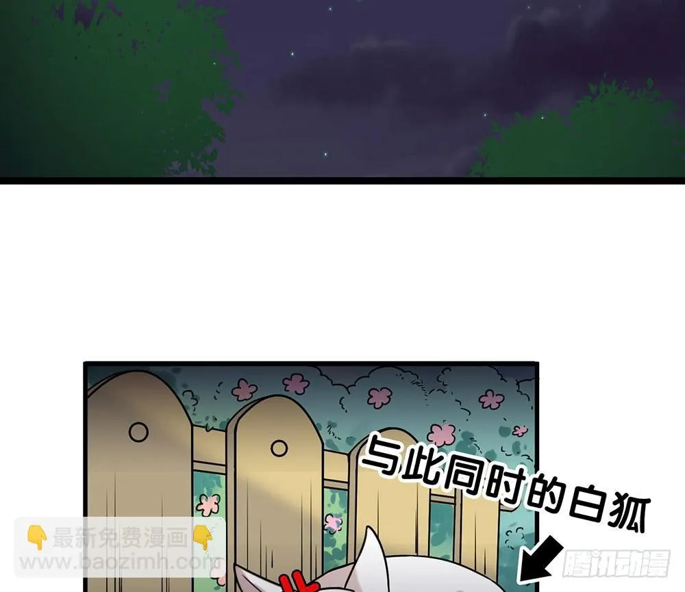白狐与雀儿 第3页